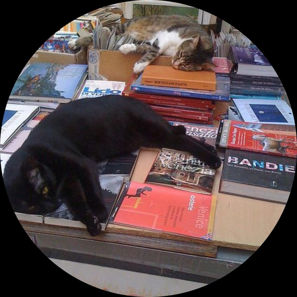 Meet your Posher, Tsering